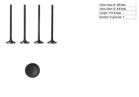4G18 VALVES INLET